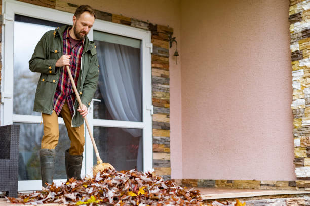 Best Basement Cleanout Services  in Las Cruces, NM